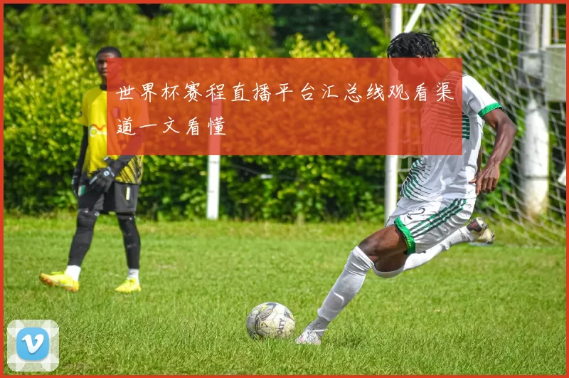 世界杯赛程直播平台汇总线观看渠道一文看懂