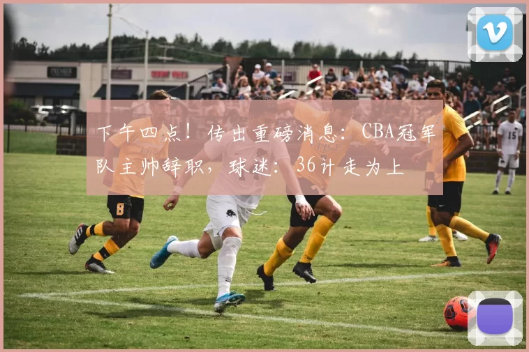 下午四点！传出重磅消息：CBA冠军队主帅辞职，球迷：36计走为上