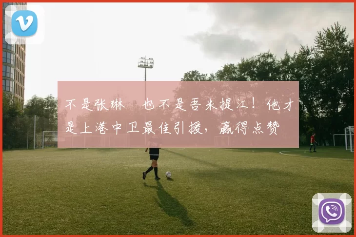 不是张琳芃也不是吾米提江！他才是上港中卫最佳引援，赢得点赞