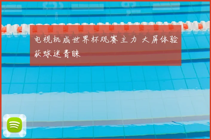 电视机成世界杯观赛主力 大屏体验获球迷青睐